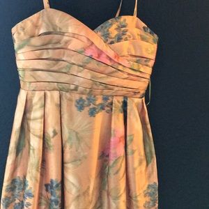 James Coviello Botanical dress from Anthropology